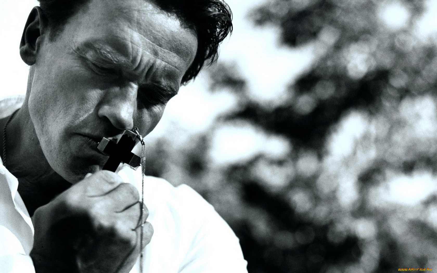 arnold, schwarzenegger, 